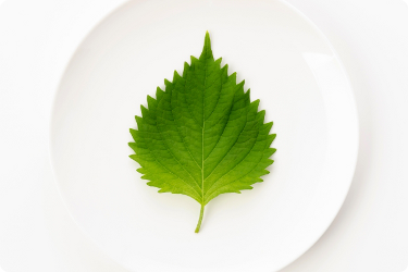 豆味噌の栄養・効果